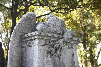 Weeping Angel