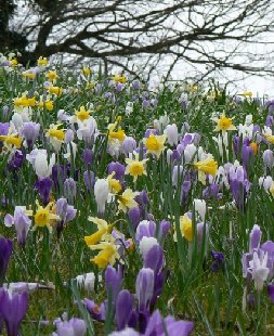 Spring has sprung...
